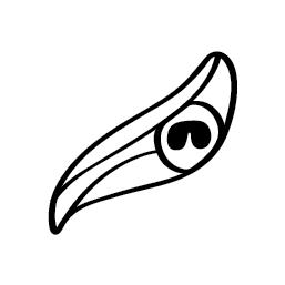 loader image